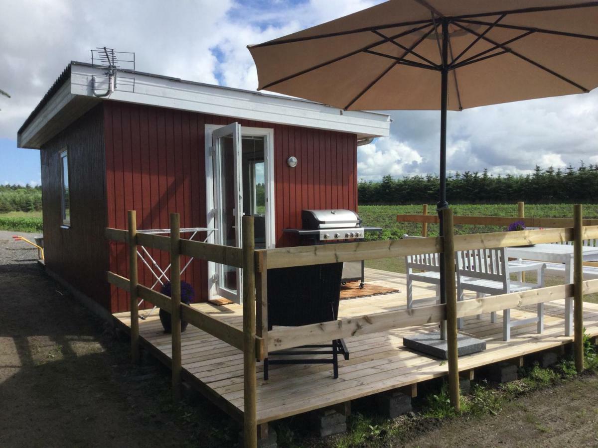 Feriehytten Honsehuset Villa Løkken Esterno foto